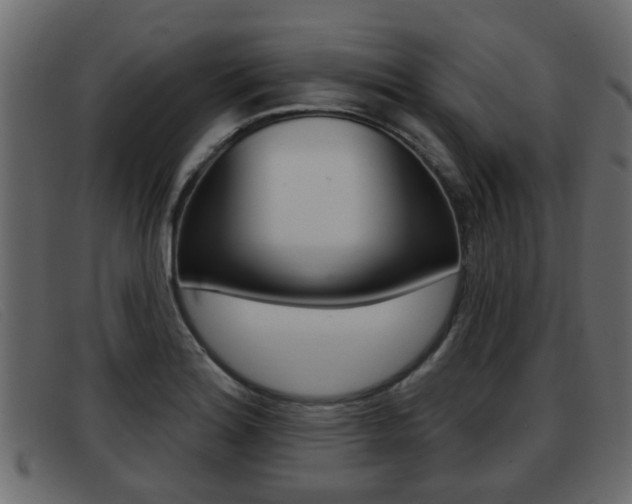 X0000093361180200710111303