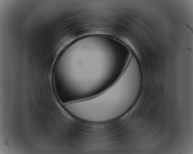 X0000093361181200710111303
