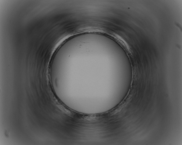 X0000093361182200710111303