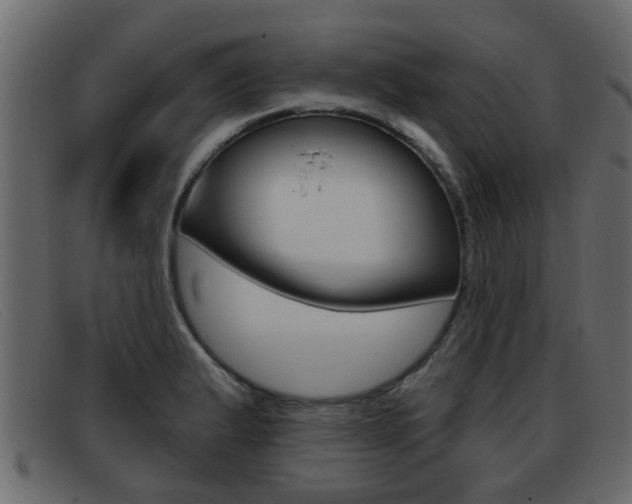 X0000093361183200710111303