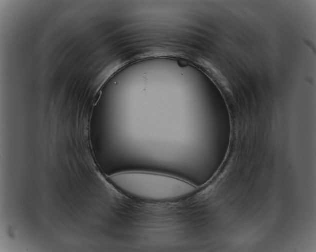 X0000093361185200710111303