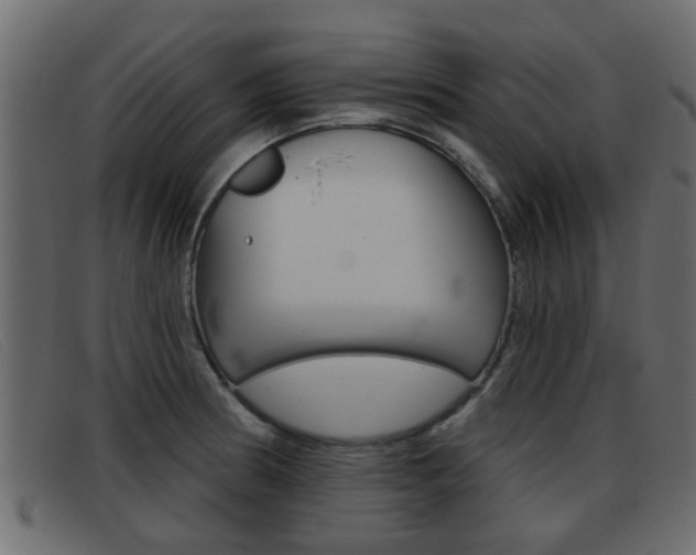 X0000093361186200710111303