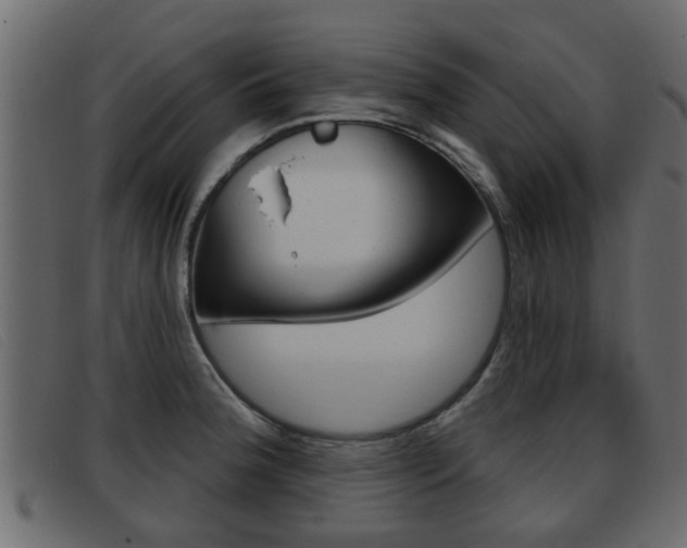 X0000093361188200710111303