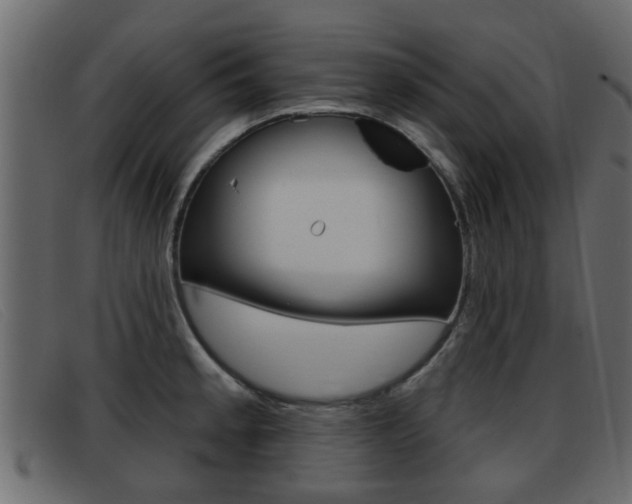 X0000093361189200710111303