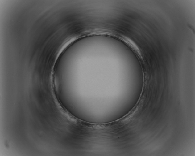 X0000093361190200710111303