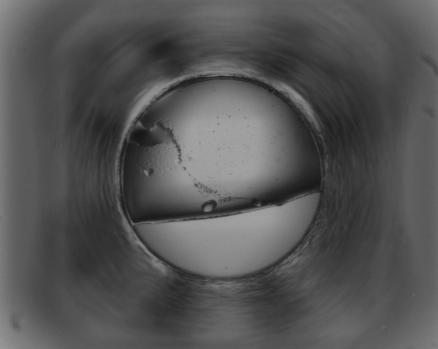 X0000093361191200710111303