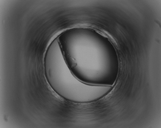 X0000093361192200710111303
