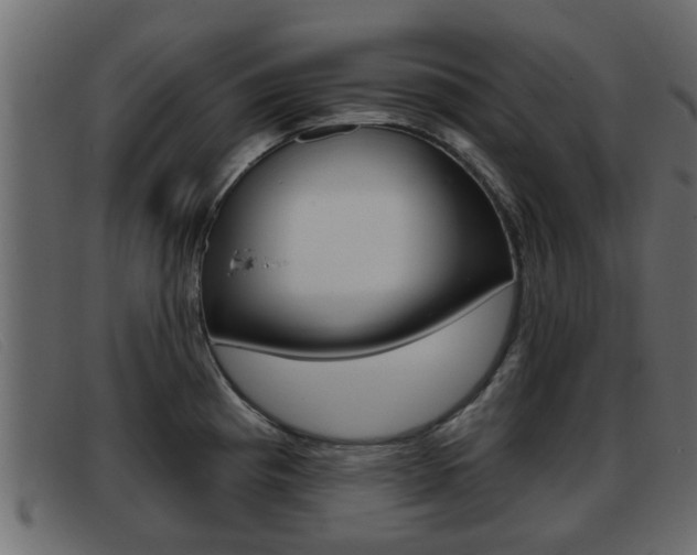 X0000093361193200710111303