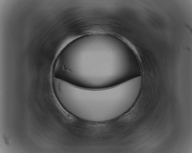 X0000093361195200710111303