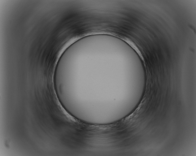 X0000093361197200710111303
