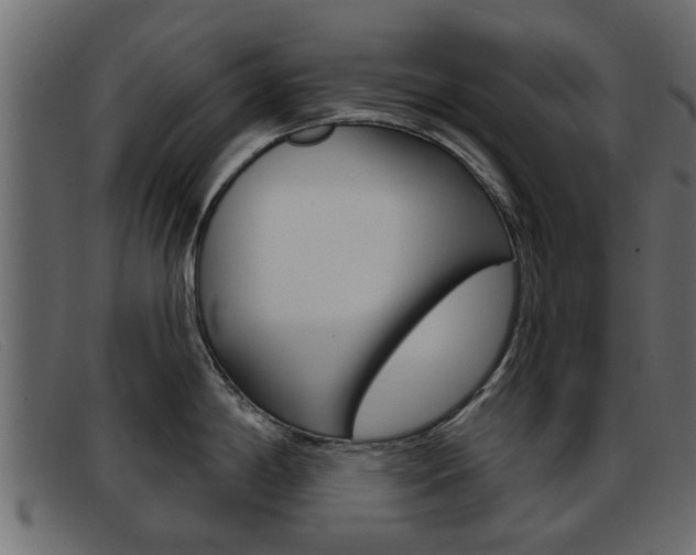 X0000093361198200710111303