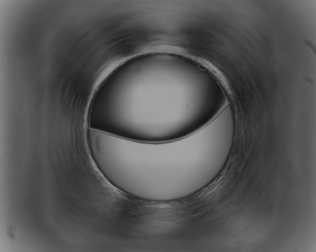 X0000093361199200710111303