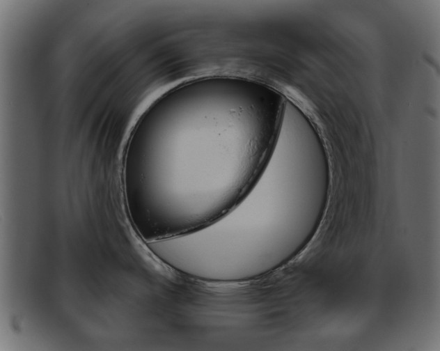 X0000093361200200710111303
