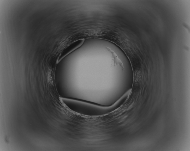 X0000093361202200710111302