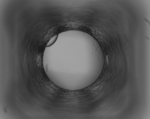 X0000093361203200710111302