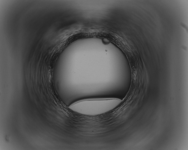 X0000093361204200710111302