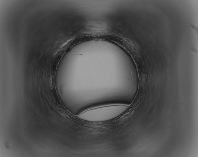 X0000093361205200710111302