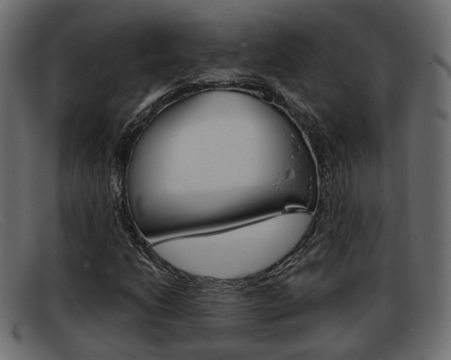 X0000093361206200710111302