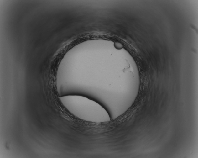 X0000093361207200710111302
