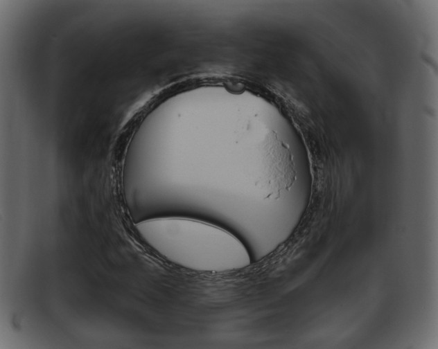 X0000093361208200710111302