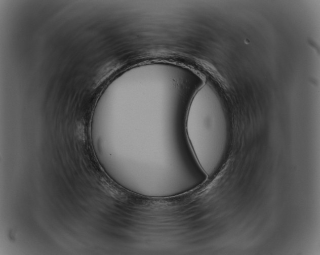 X0000093361209200710111302
