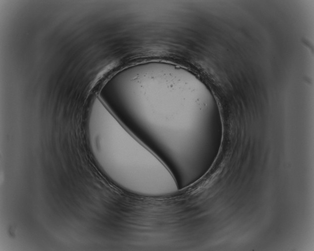 X0000093361210200710111302