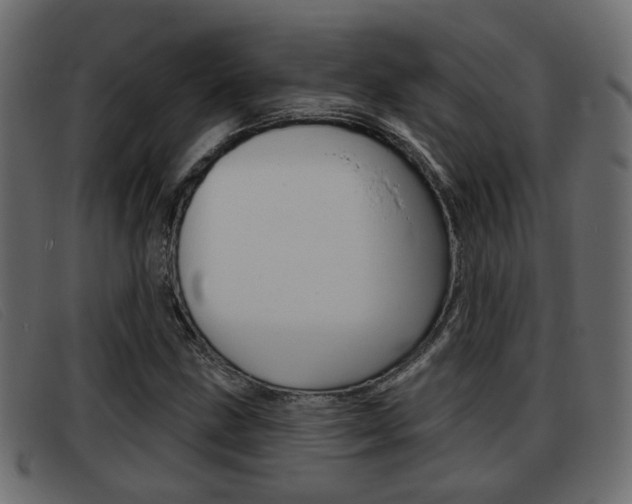 X0000093361211200710111302