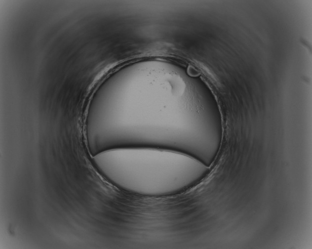 X0000093361212200710111302