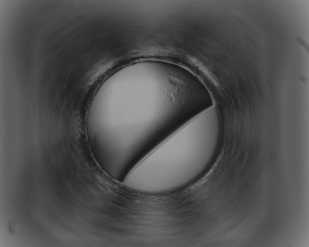 X0000093361213200710111302