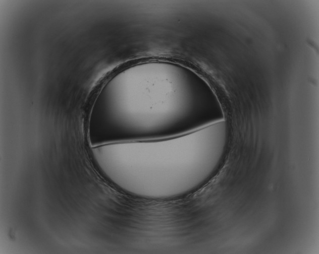X0000093361214200710111302