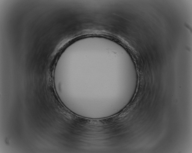 X0000093361215200710111302