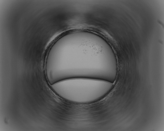 X0000093361216200710111302