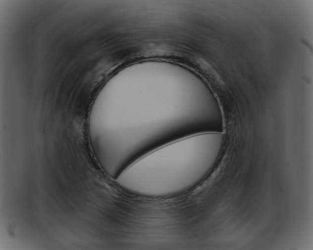 X0000093361217200710111302