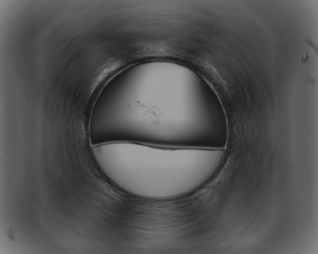 X0000093361218200710111302