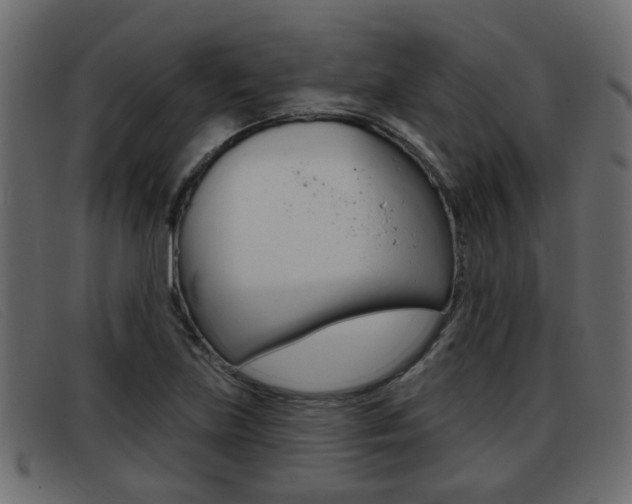 X0000093361219200710111302