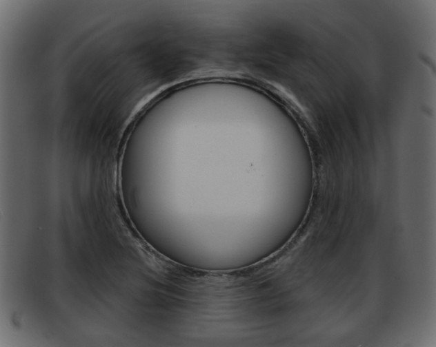 X0000093361220200710111302