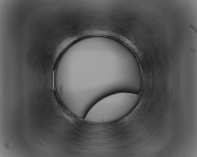 X0000093361223200710111302