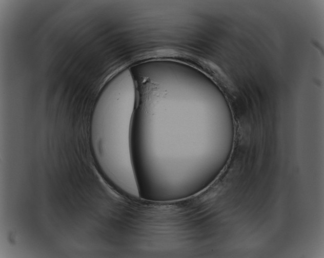 X0000093361225200710111302