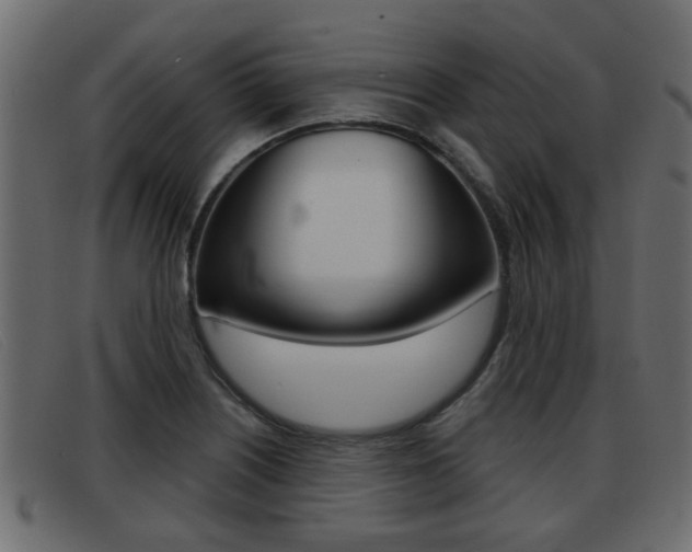 X0000093361226200710111302