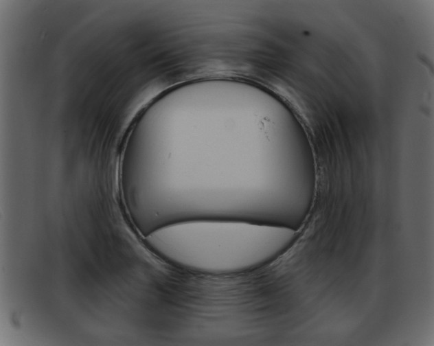 X0000093361227200710111302