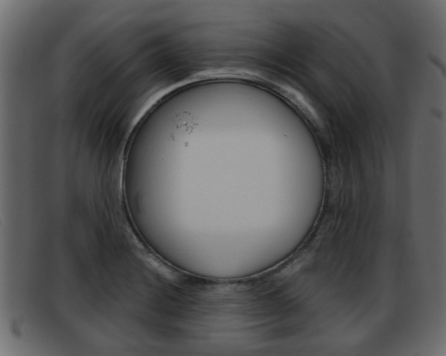 X0000093361228200710111302