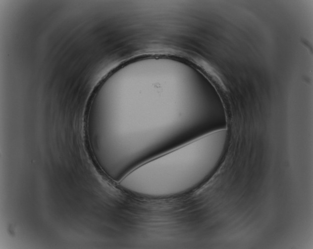 X0000093361229200710111302