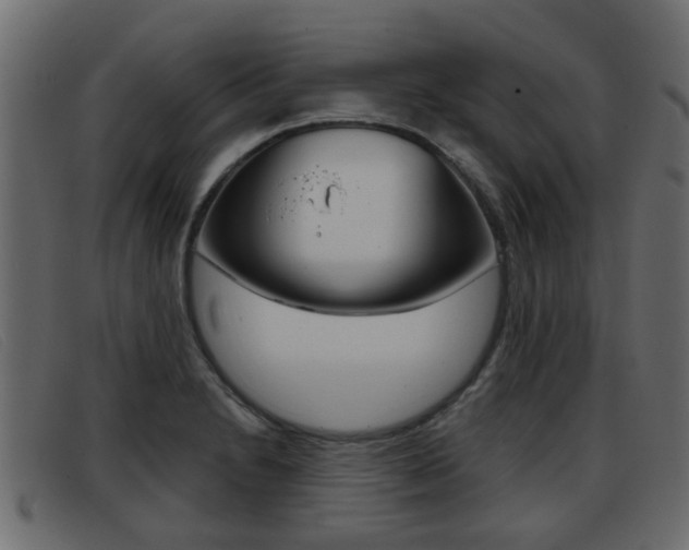 X0000093361230200710111302