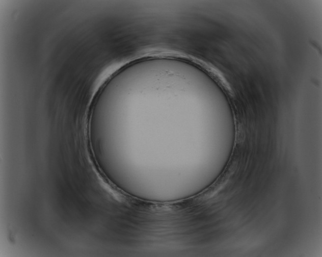 X0000093361231200710111302