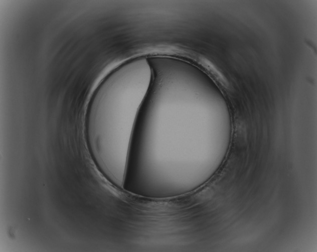 X0000093361232200710111302