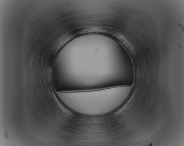 X0000093361233200710111302