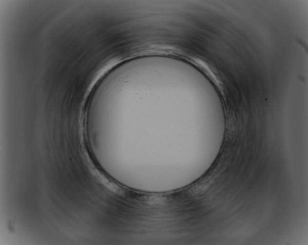 X0000093361235200710111302