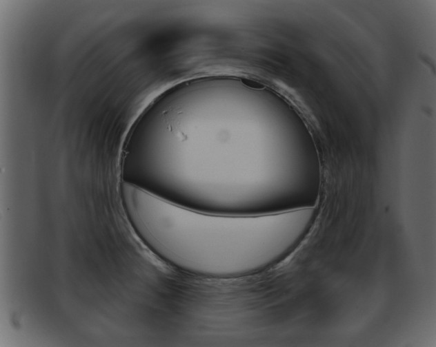 X0000093361236200710111302