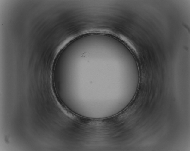 X0000093361237200710111302