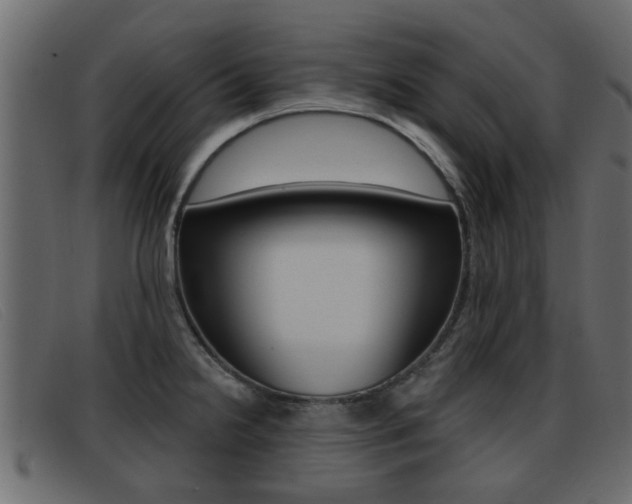 X0000093361238200710111303